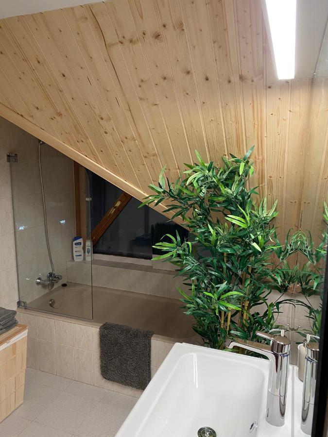 Апартаменти Atico Duplex Reformado Con Vistas A La Montana Канфранк Екстер'єр фото